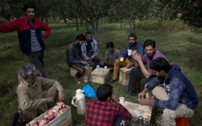 ‘It’s a war on our stomachs’: Apple economy latest casualty in strife-torn Kashmir