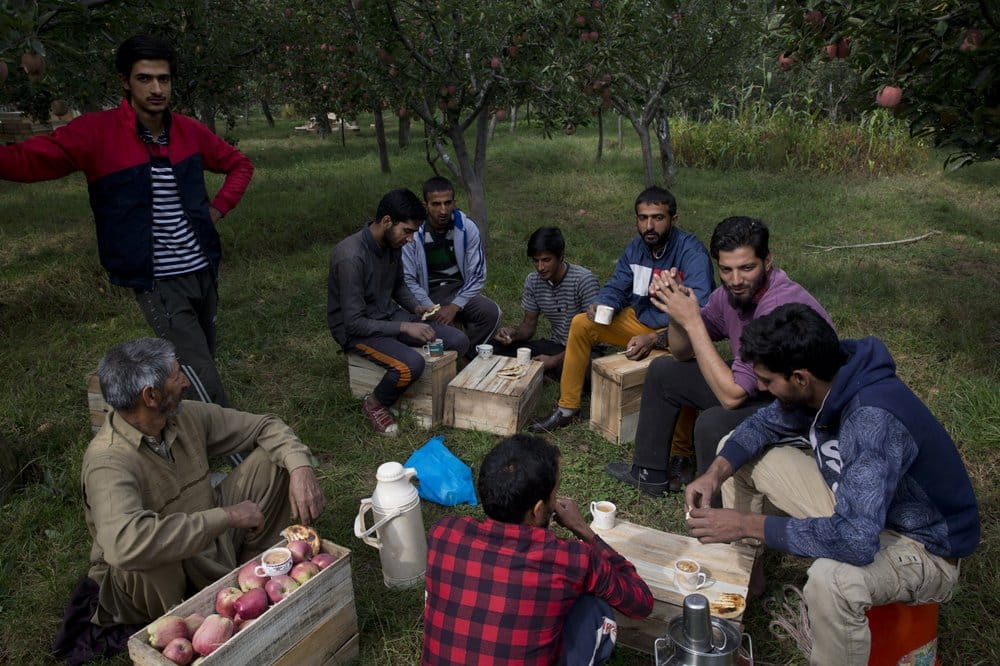 ‘It’s a war on our stomachs’: Apple economy latest casualty in strife-torn Kashmir