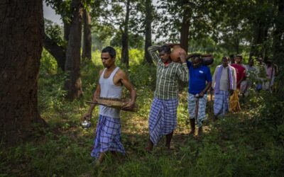 Clinging to ancient faith, India’s tribespeople seek religion status